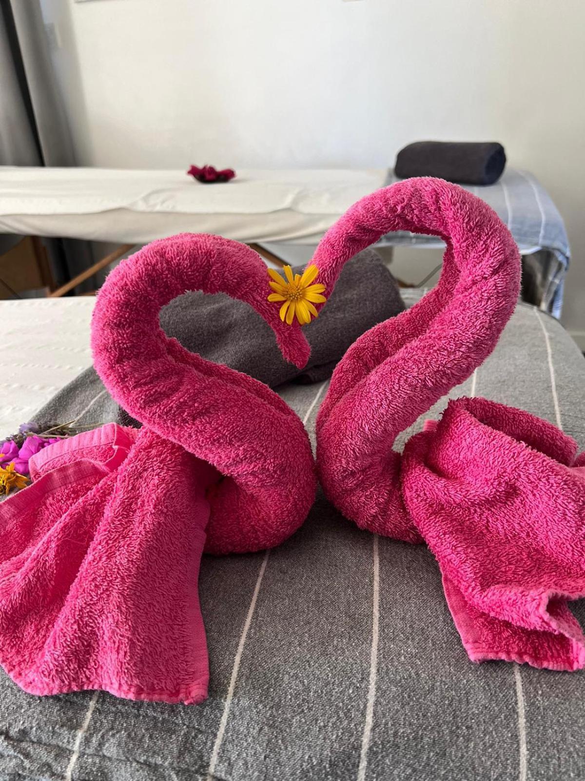 "L Eden Enchante" Chambres D'Hotes Et Spa Cote Basque Boucau Ngoại thất bức ảnh
